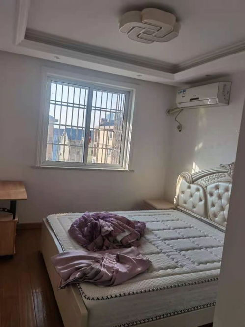 上海蘇家浜小區 精品單身公寓，拎包入住的無憂選擇
